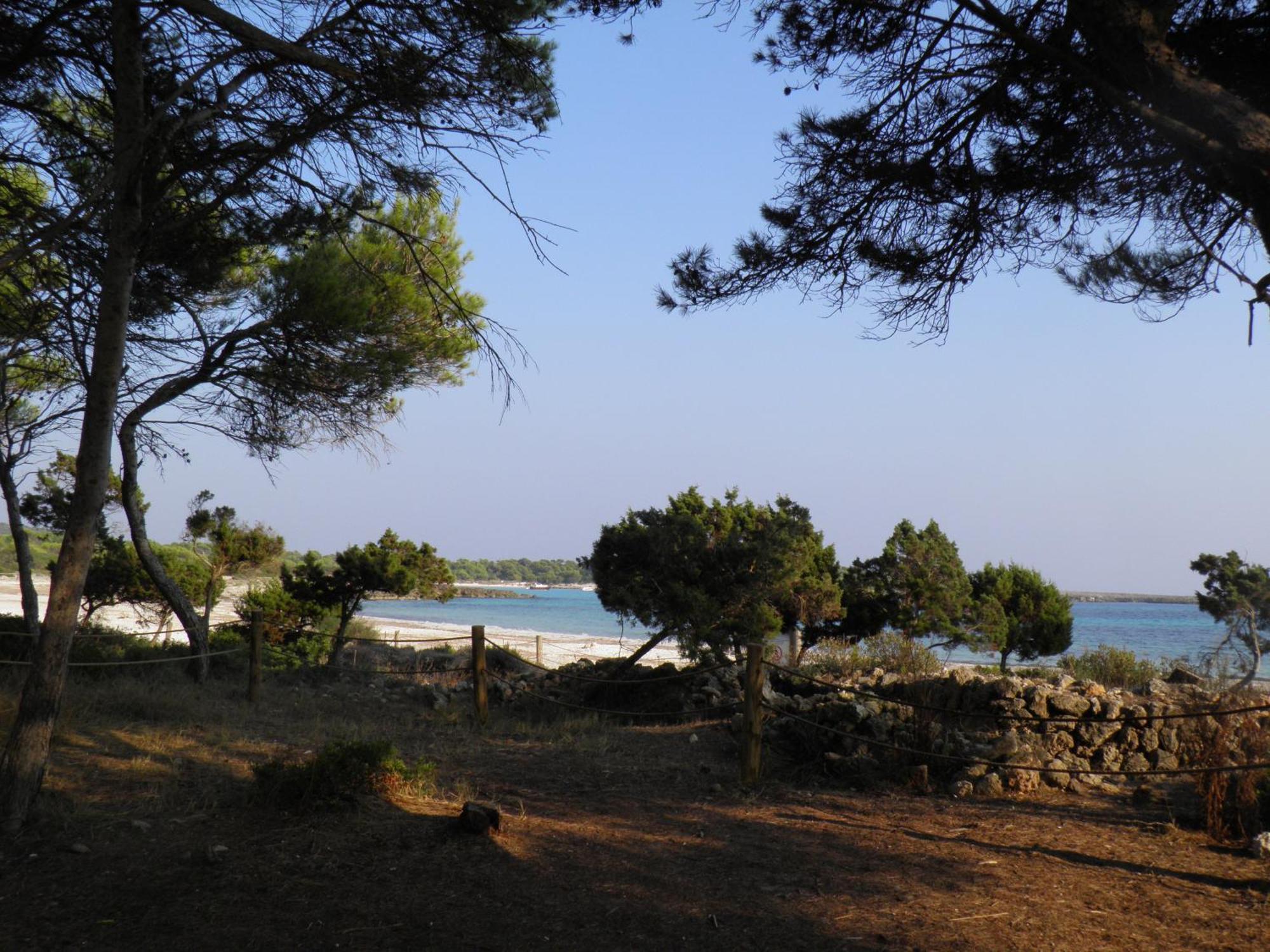 Apartamento Nure Cel Blau *